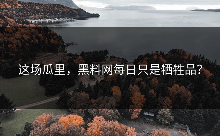 这场瓜里，黑料网每日只是牺牲品？
