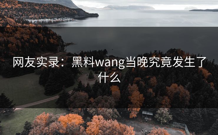 网友实录：黑料wang当晚究竟发生了什么
