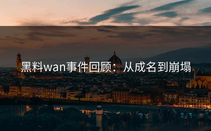 黑料wan事件回顾：从成名到崩塌
