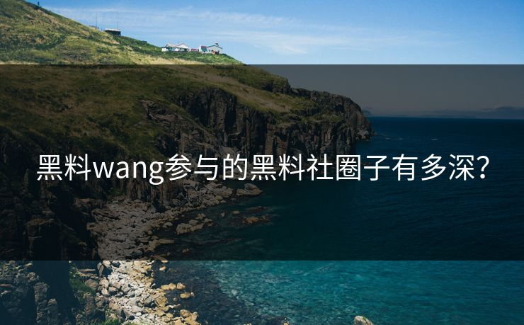 黑料wang参与的黑料社圈子有多深？