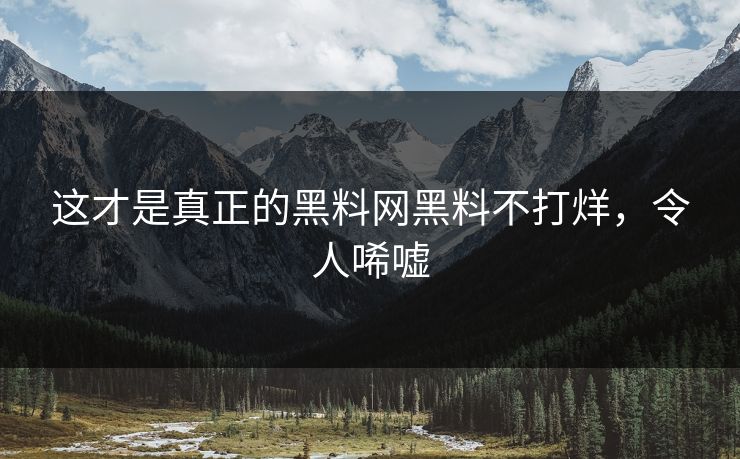 这才是真正的黑料网黑料不打烊，令人唏嘘