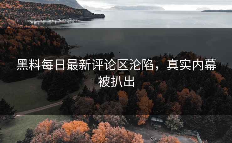 黑料每日最新评论区沦陷，真实内幕被扒出