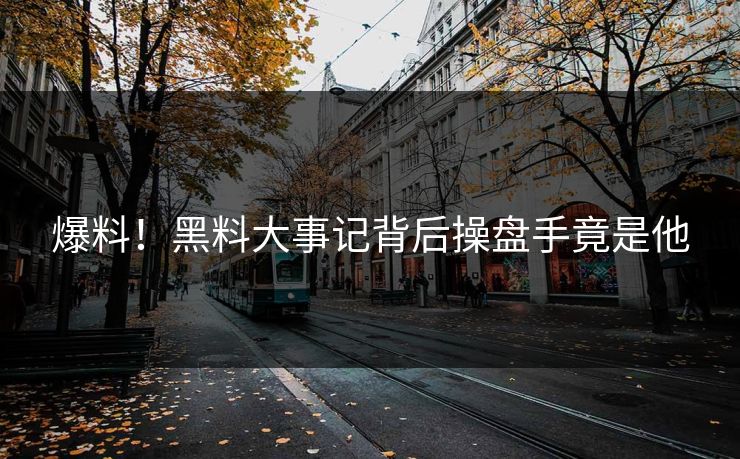 爆料！黑料大事记背后操盘手竟是他