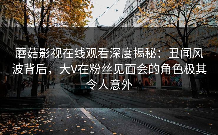 蘑菇影视在线观看深度揭秘：丑闻风波背后，大V在粉丝见面会的角色极其令人意外