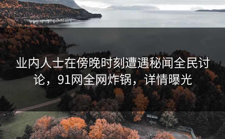 业内人士在傍晚时刻遭遇秘闻全民讨论，91网全网炸锅，详情曝光