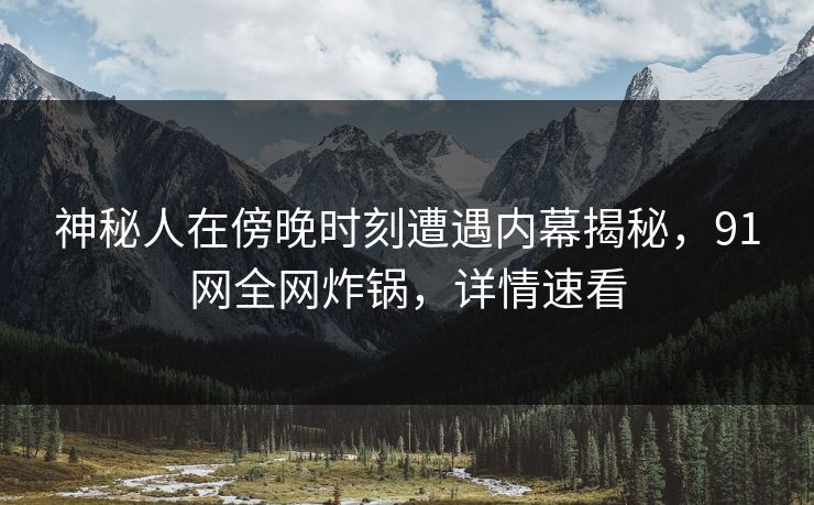神秘人在傍晚时刻遭遇内幕揭秘，91网全网炸锅，详情速看